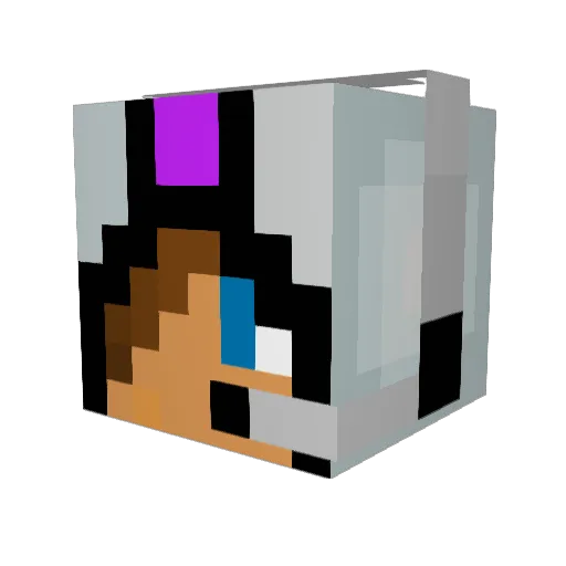Tsunami12 Minecraft avatar head, 3D render