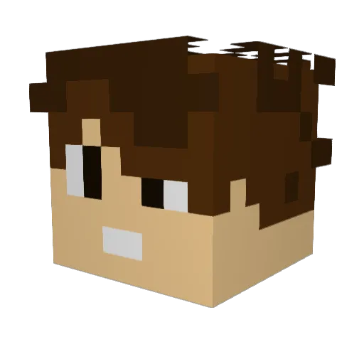 Tsunami527 Minecraft avatar head, 3D render