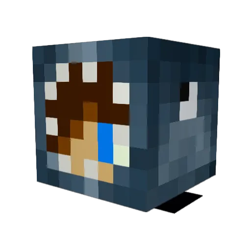 Tsunami_Mc Minecraft avatar head, 3D render