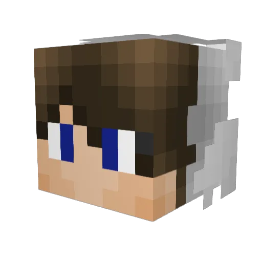 Tsupica Minecraft avatar head, 3D render