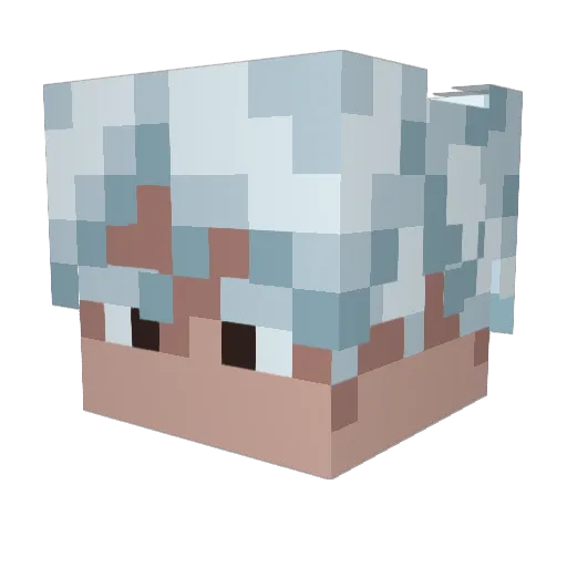 Tsuru0810 Minecraft avatar head, 3D render