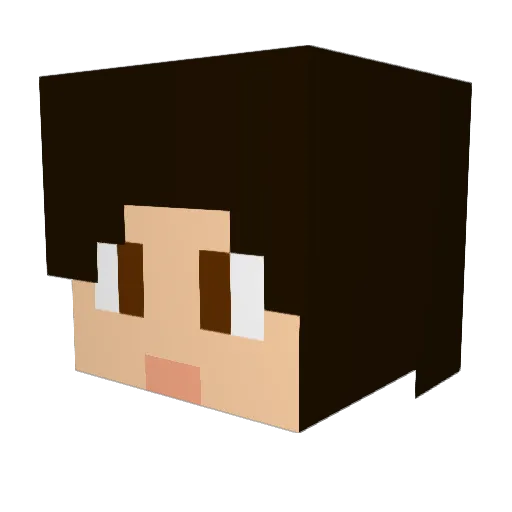 Tsurugi_Star Minecraft avatar head, 3D render