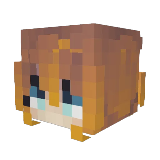 Tsutsui__ Minecraft avatar head, 3D render