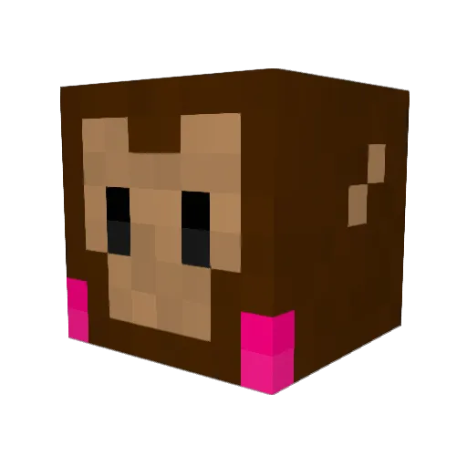 TswanFN Minecraft avatar head, 3D render