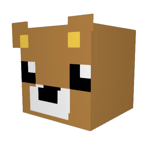 Tswiftlover55 Minecraft avatar head, 3D render