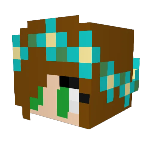 Tswiz24 Minecraft avatar head, 3D render