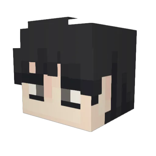 Ttaengttaeng Minecraft avatar head, 3D render