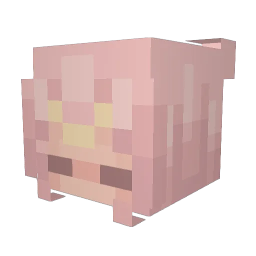 Ttali1 Minecraft avatar head, 3D render