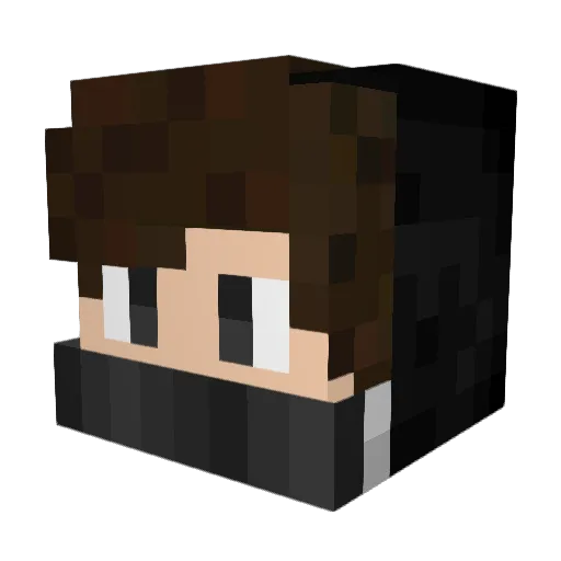 Ttam_ Minecraft avatar head, 3D render