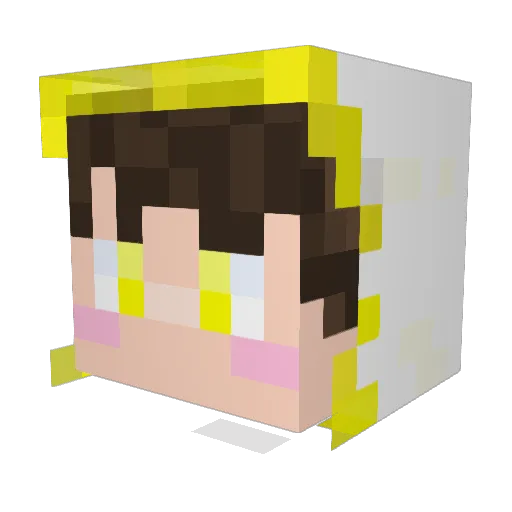 Ttaro0302 Minecraft avatar head, 3D render