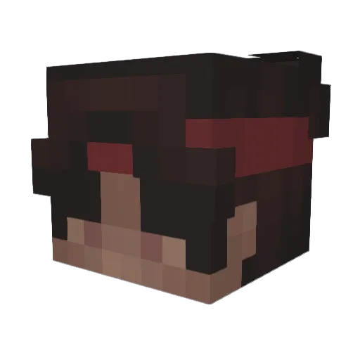 Ttodayjr Minecraft avatar head, 3D render