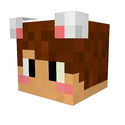 TtokTtak Minecraft avatar head, 3D render