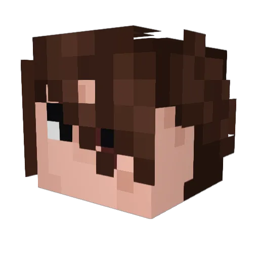 Ttory Minecraft avatar head, 3D render