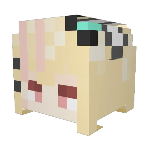 TtsuKii Minecraft avatar head, 3D render