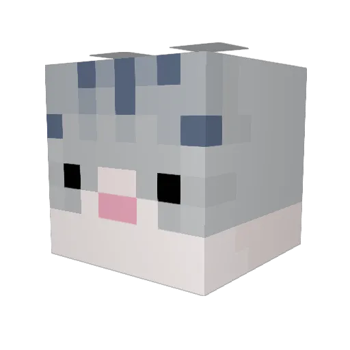 TuBonica Minecraft avatar head, 3D render