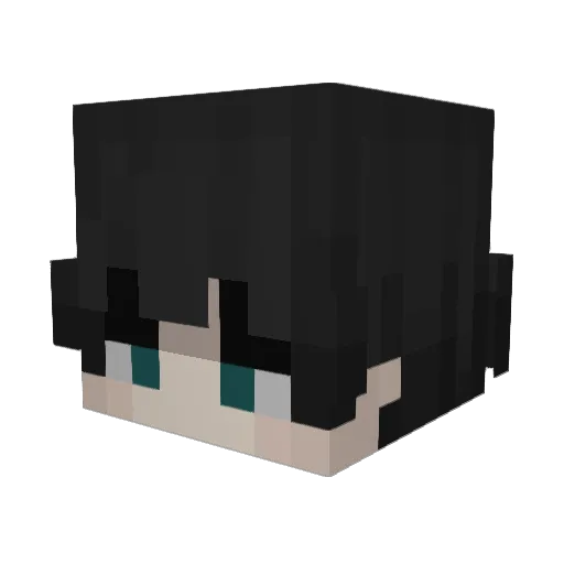 TuDou66 Minecraft avatar head, 3D render
