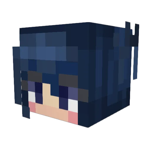 TuTu___ Minecraft avatar head, 3D render