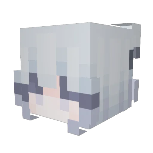 Tuaa Minecraft avatar head, 3D render