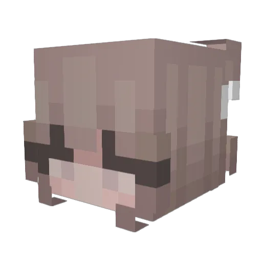 TuanTzu Minecraft avatar head, 3D render