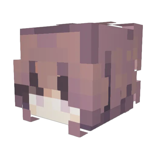 Tuanzi006 Minecraft avatar head, 3D render
