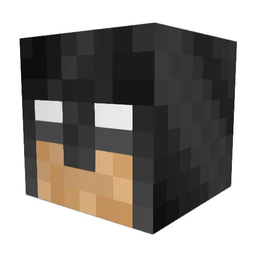 Tubaman123 Minecraft avatar head, 3D render