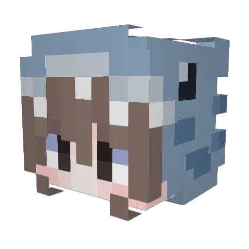 Tubarinhoo Minecraft avatar head, 3D render
