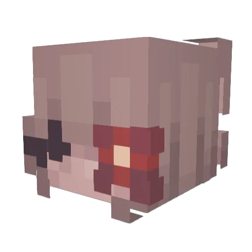TubbedIsCool Minecraft avatar head, 3D render
