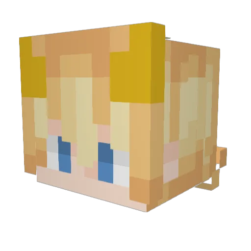 Tubbo556 Minecraft avatar head, 3D render