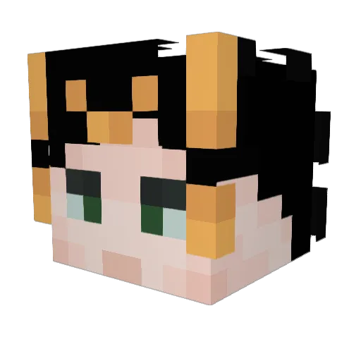 Tubbox1223 Minecraft avatar head, 3D render