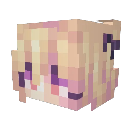 TubbsieTubbie Minecraft avatar head, 3D render