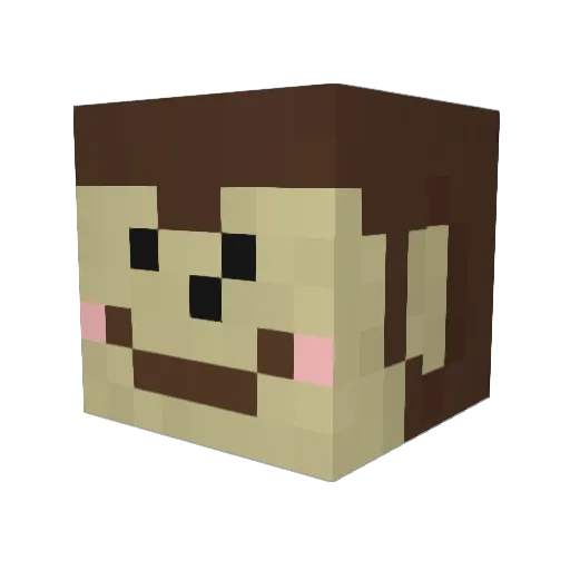 TubbyMunchie Minecraft avatar head, 3D render