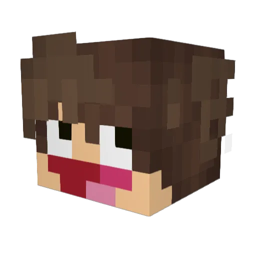 TubbyTimmah Minecraft avatar head, 3D render