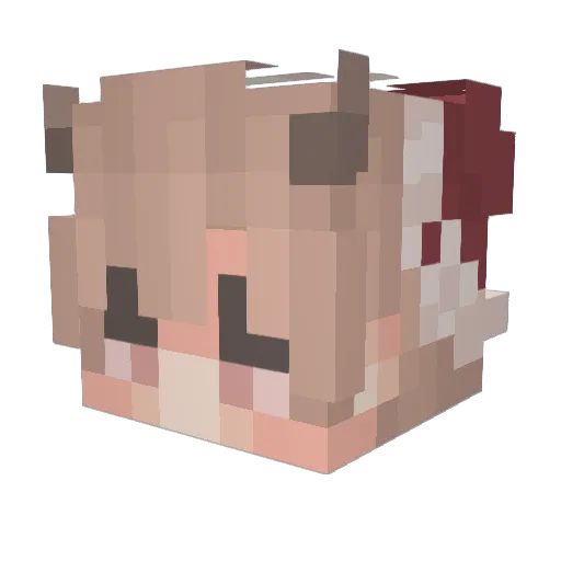 Tubby_27 Minecraft avatar head, 3D render