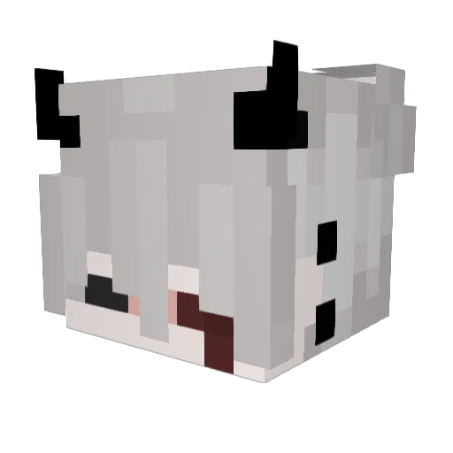 Tubelessanas Minecraft avatar head, 3D render