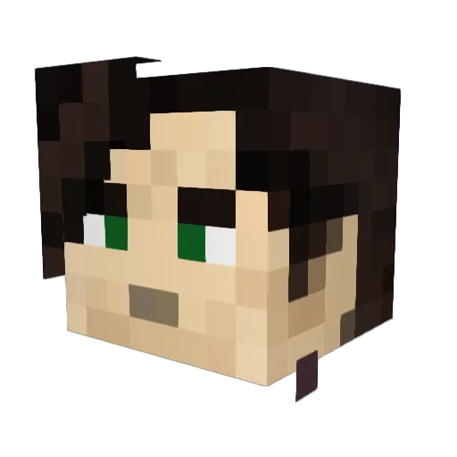 Tubesoc12 Minecraft avatar head, 3D render