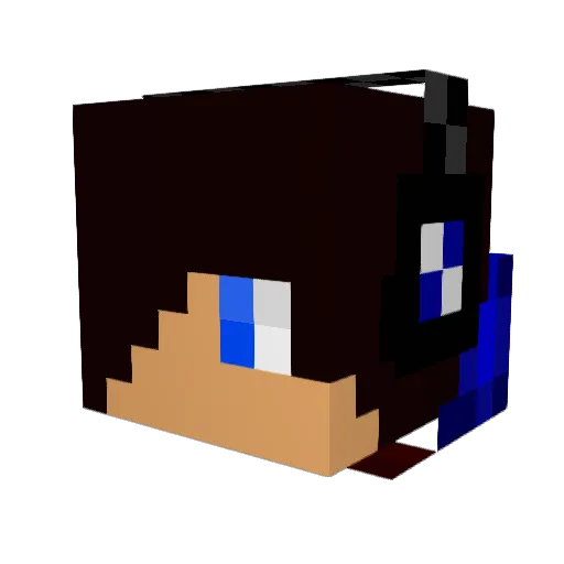 Tubimis Minecraft avatar head, 3D render