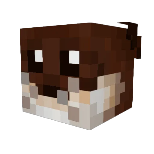 Tubius Minecraft avatar head, 3D render