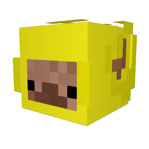 Tuble_ Minecraft avatar head, 3D render