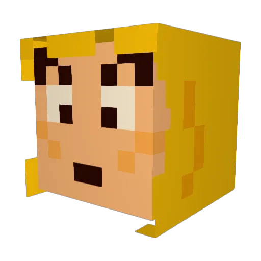 Tubs50 Minecraft avatar head, 3D render