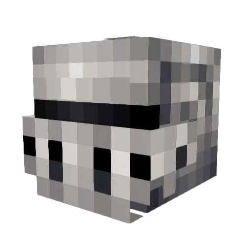 Tubz123 Minecraft avatar head, 3D render