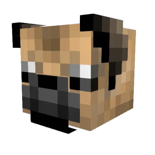 Tubzyyy Minecraft avatar head, 3D render