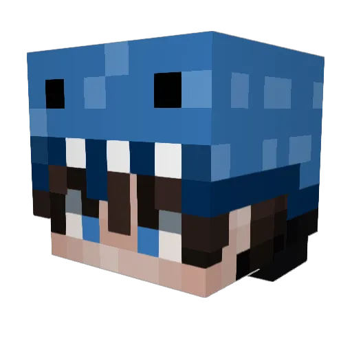 Tubzzz_ Minecraft avatar head, 3D render