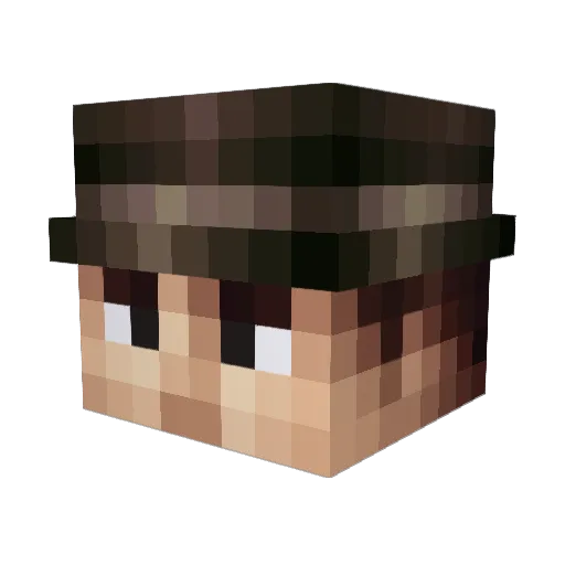 TucanoBr5 Minecraft avatar head, 3D render