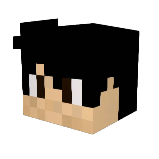 Tucanoo Minecraft avatar head, 3D render