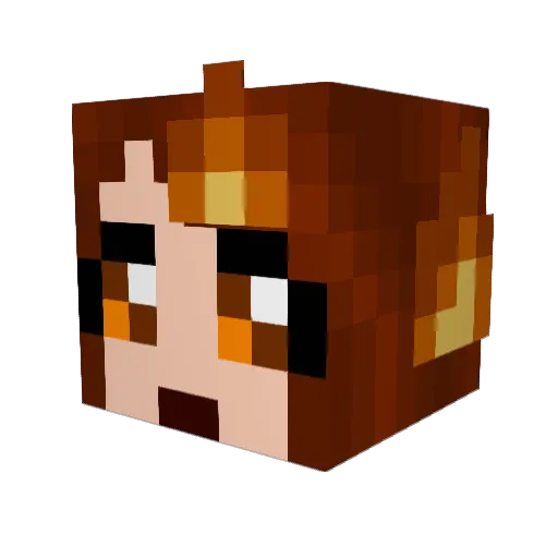 Tuccia1 Minecraft avatar head, 3D render