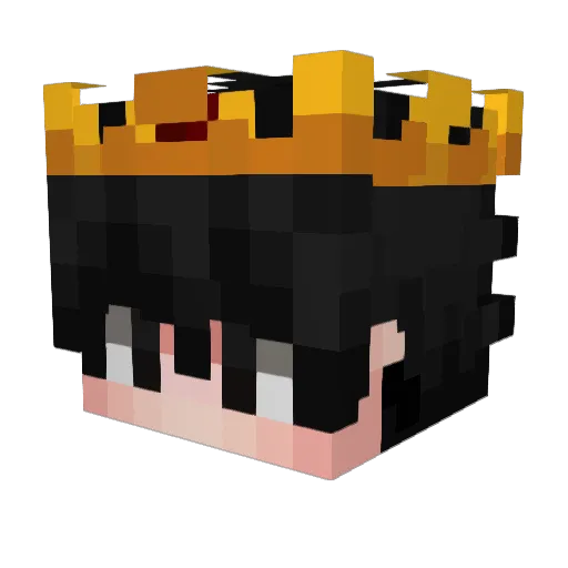 Tuck Minecraft avatar head, 3D render