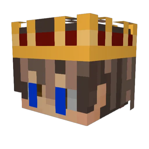 TuckT16 Minecraft avatar head, 3D render