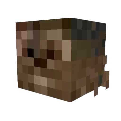 Tuckeeylol Minecraft avatar head, 3D render