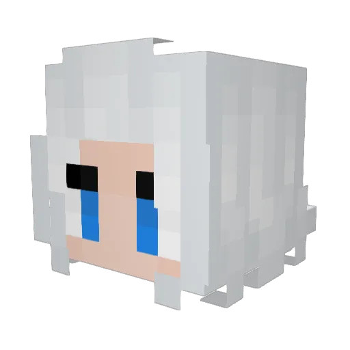 Tucker1701 Minecraft avatar head, 3D render