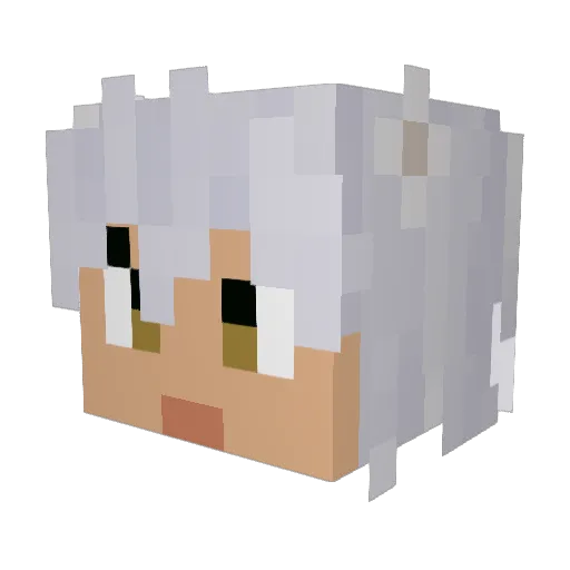 Tucker35 Minecraft avatar head, 3D render